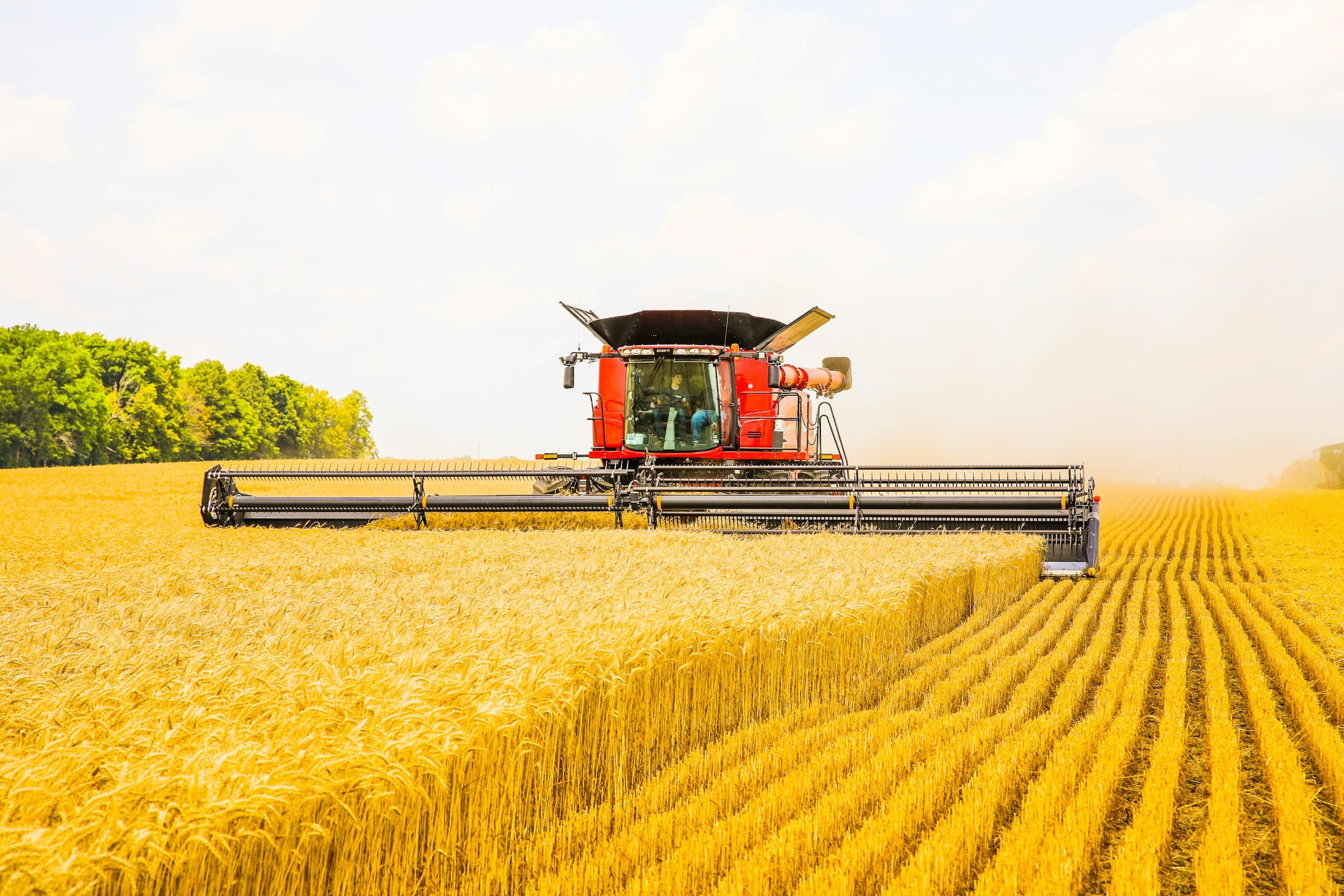Agriculture industry - computer vision application